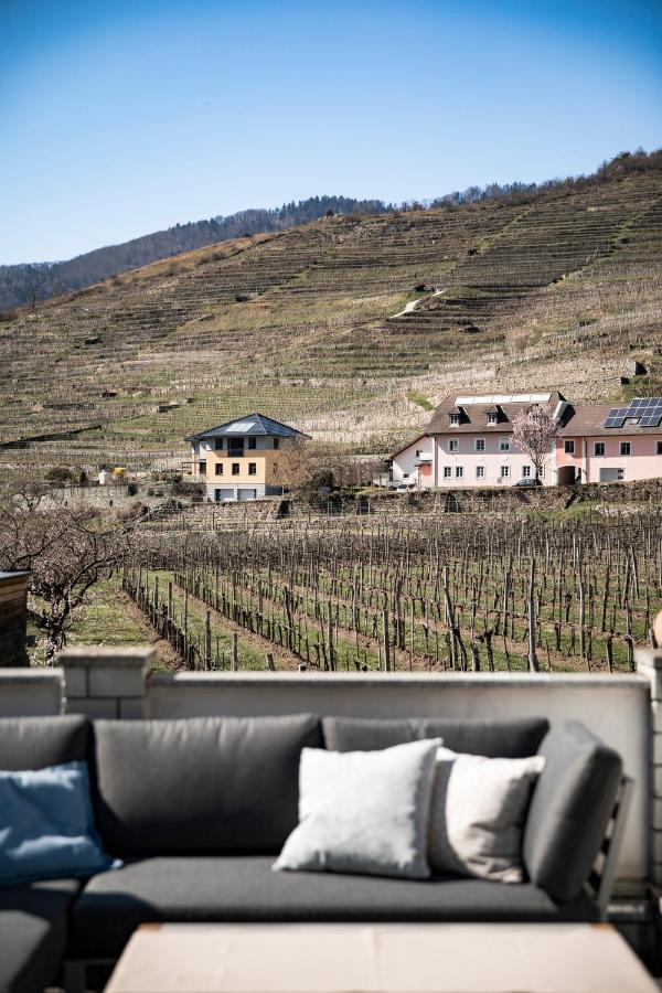 Apartmán Weingut Donabaum "In Der Spitz" Spitz an der Donau Exteriér fotografie