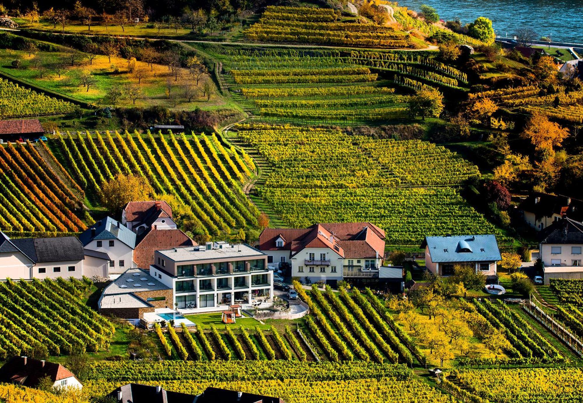 Apartmán Weingut Donabaum "In Der Spitz" Spitz an der Donau Pokoj fotografie