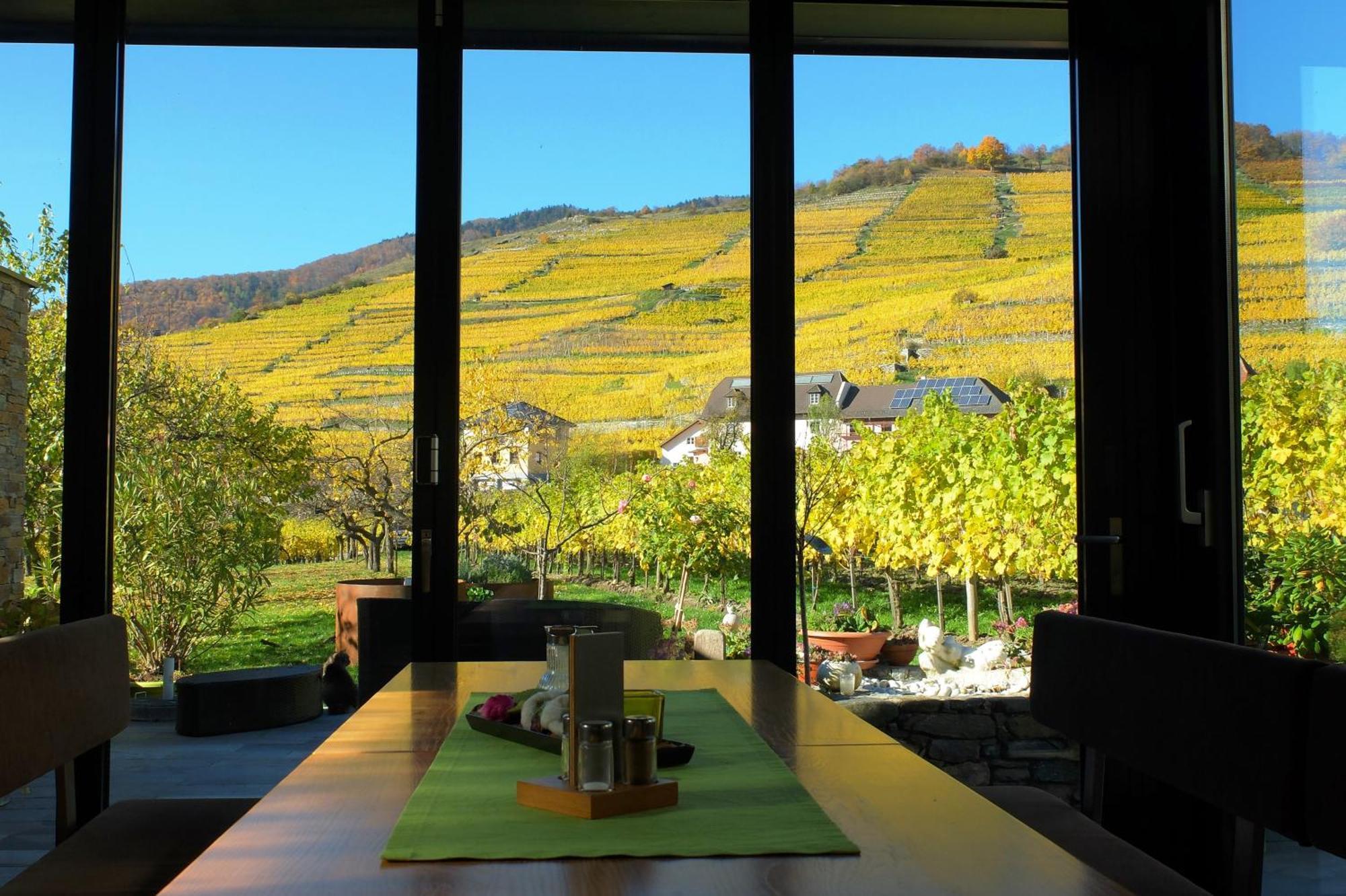 Apartmán Weingut Donabaum "In Der Spitz" Spitz an der Donau Pokoj fotografie