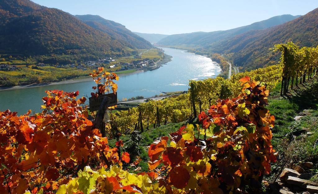 Apartmán Weingut Donabaum "In Der Spitz" Spitz an der Donau Exteriér fotografie