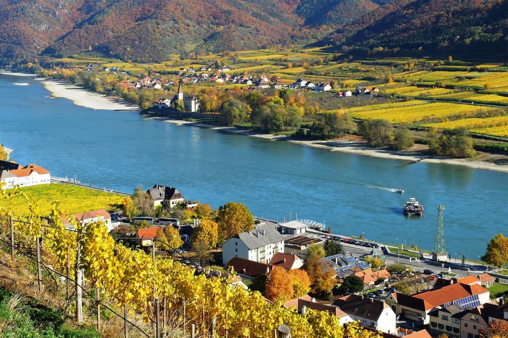 Apartmán Weingut Donabaum "In Der Spitz" Spitz an der Donau Exteriér fotografie