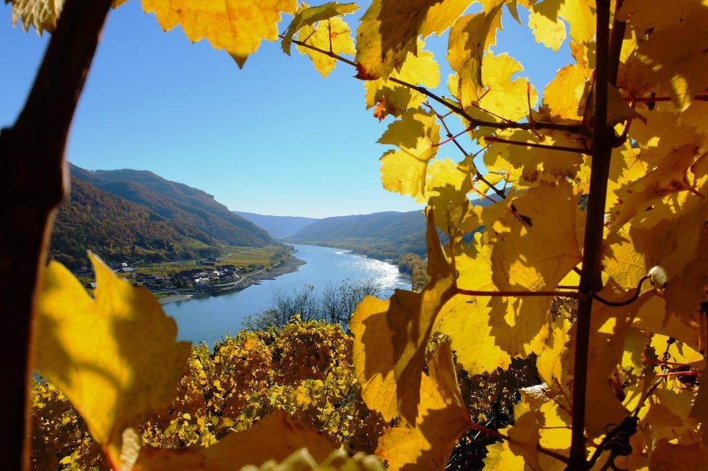 Apartmán Weingut Donabaum "In Der Spitz" Spitz an der Donau Exteriér fotografie