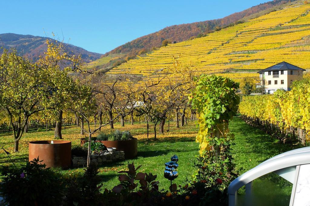 Apartmán Weingut Donabaum "In Der Spitz" Spitz an der Donau Exteriér fotografie