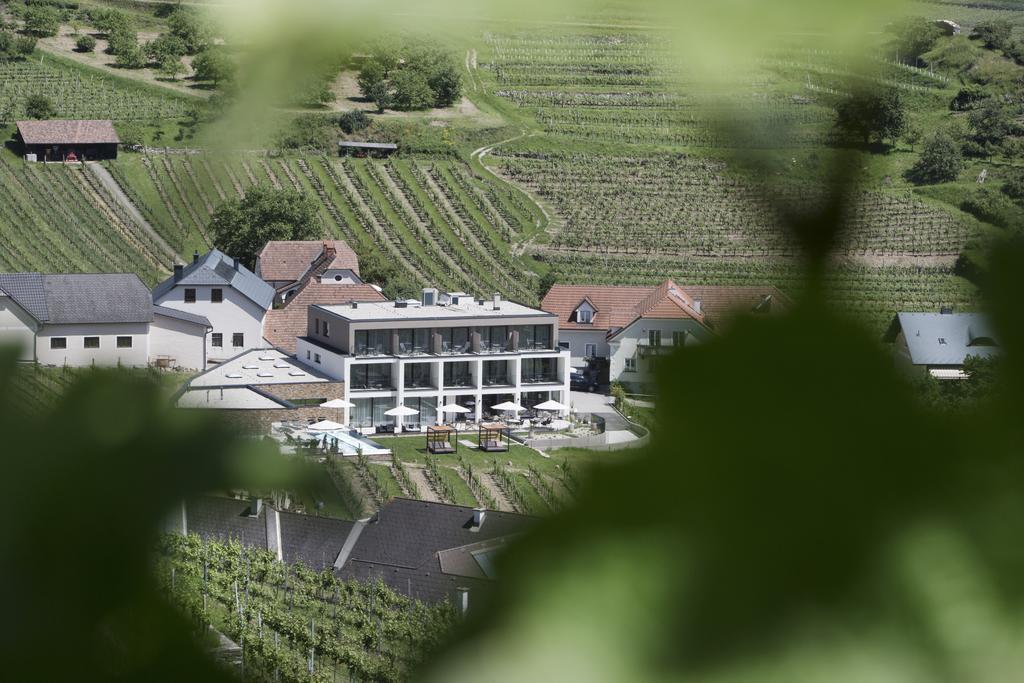 Apartmán Weingut Donabaum "In Der Spitz" Spitz an der Donau Exteriér fotografie