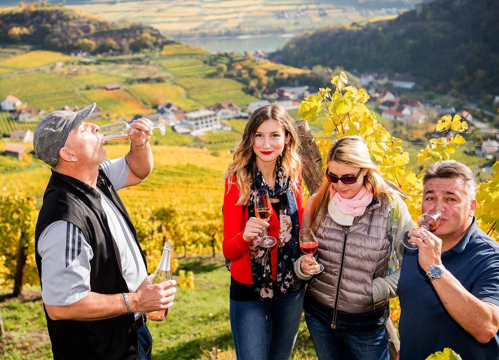Apartmán Weingut Donabaum "In Der Spitz" Spitz an der Donau Exteriér fotografie