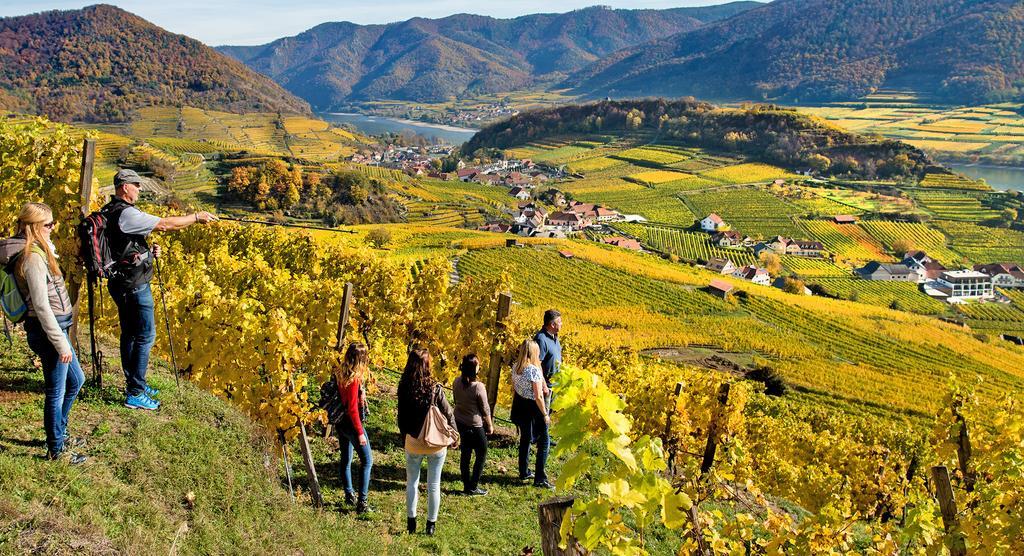 Apartmán Weingut Donabaum "In Der Spitz" Spitz an der Donau Exteriér fotografie