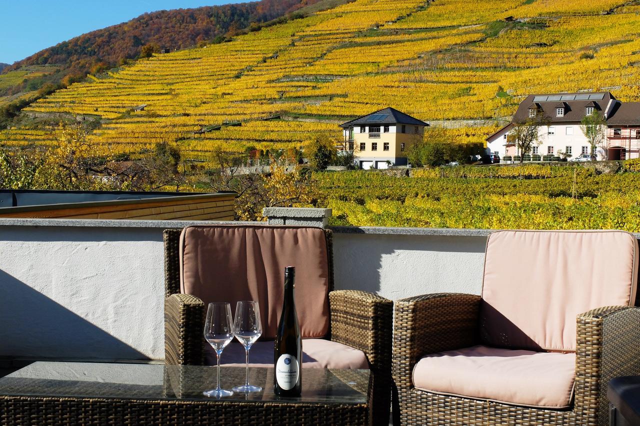 Apartmán Weingut Donabaum "In Der Spitz" Spitz an der Donau Exteriér fotografie